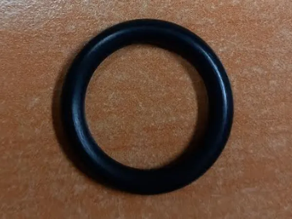 Joint o'ring nettoyeur Karcher 6.362-579.0